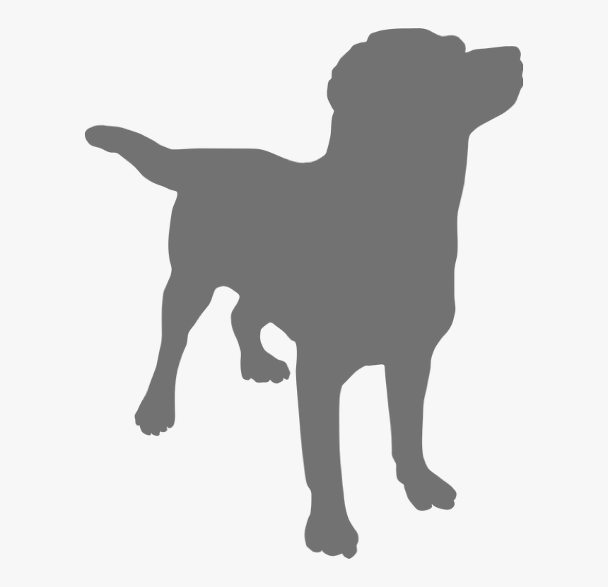 Picture1 - Dog Black Transparent Background, HD Png Download