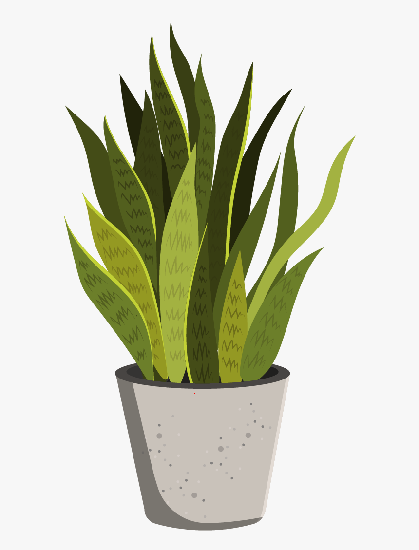 Flowerpot, HD Png Download