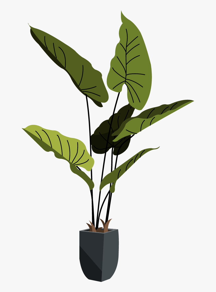 Houseplant, HD Png Download