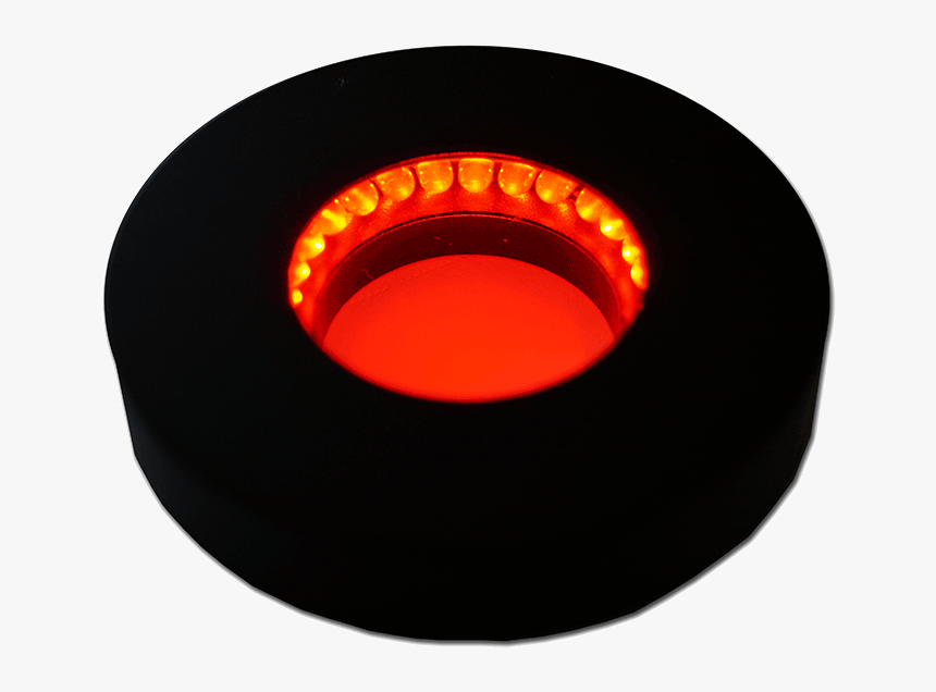 Circle, HD Png Download