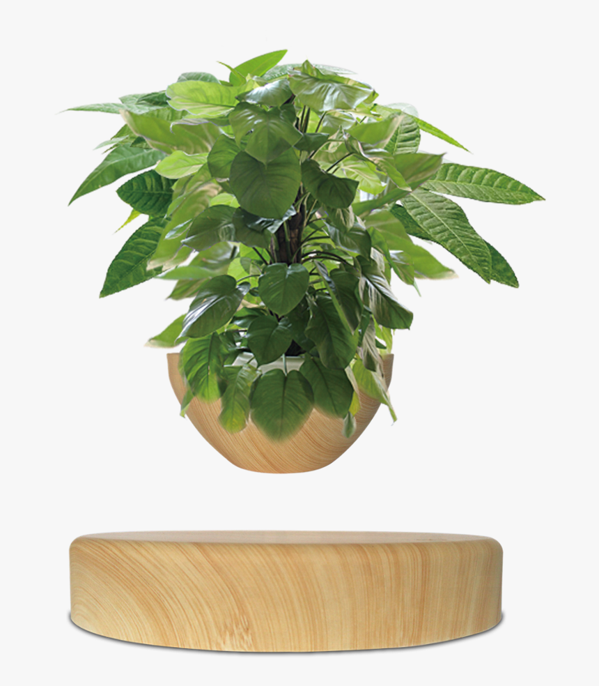 Planta Levitacion Magnetica Png, Transparent Png