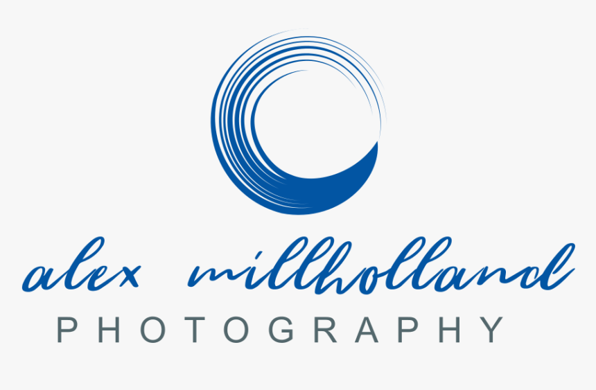 Logo Design By Sintegra For This Project - Graphic Design, HD Png Download