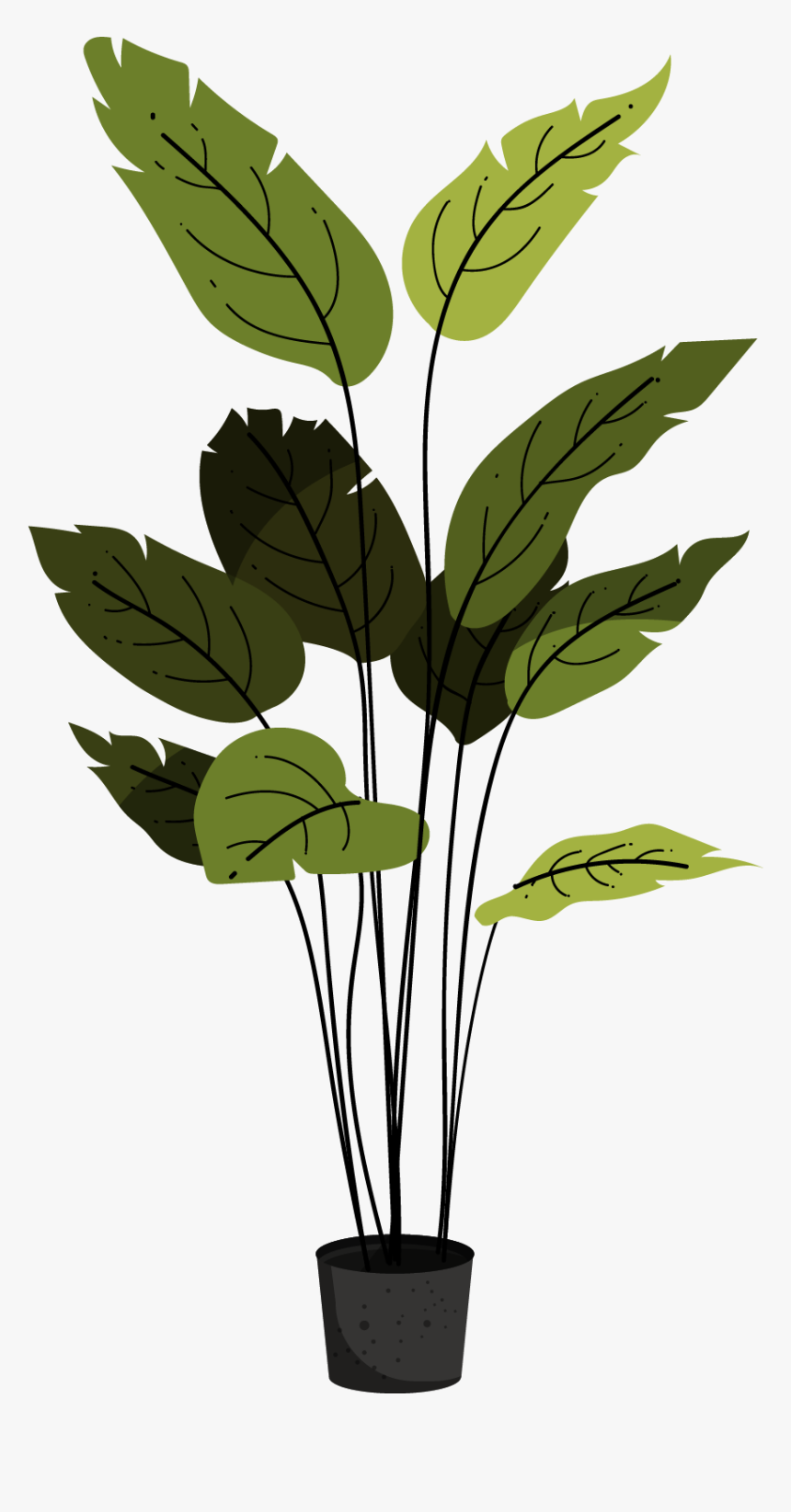 Birds Of Paradise Plant Png, Transparent Png