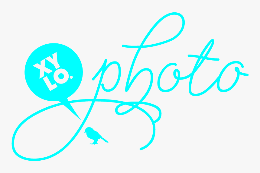 Graphic Design, HD Png Download