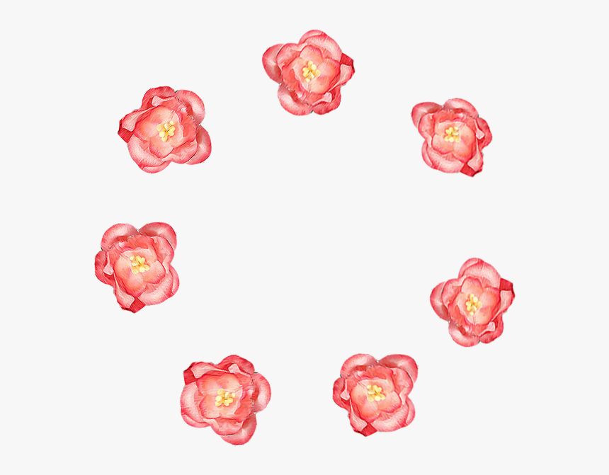 Garden Roses, HD Png Download