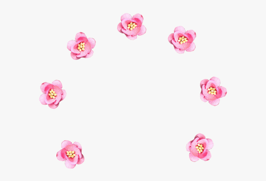 Floribunda, HD Png Download