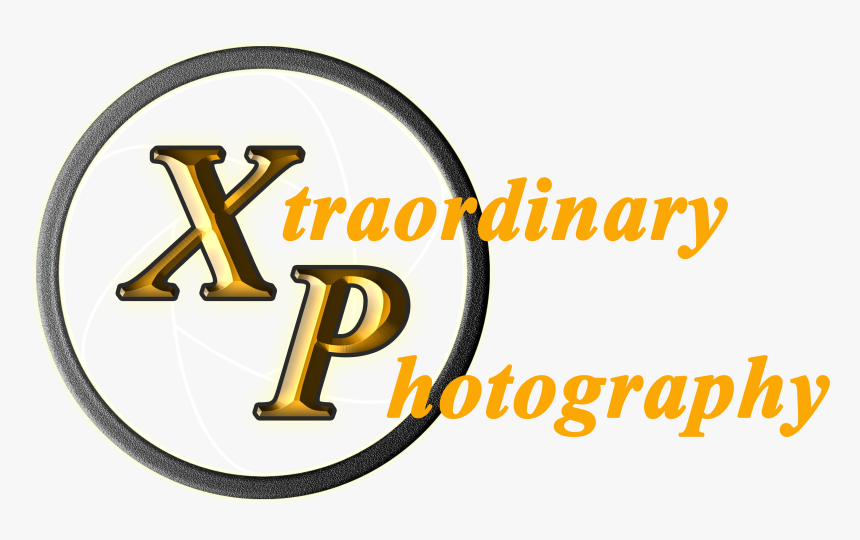 Professional Photographer Windsor Logo - Circle, HD Png Download