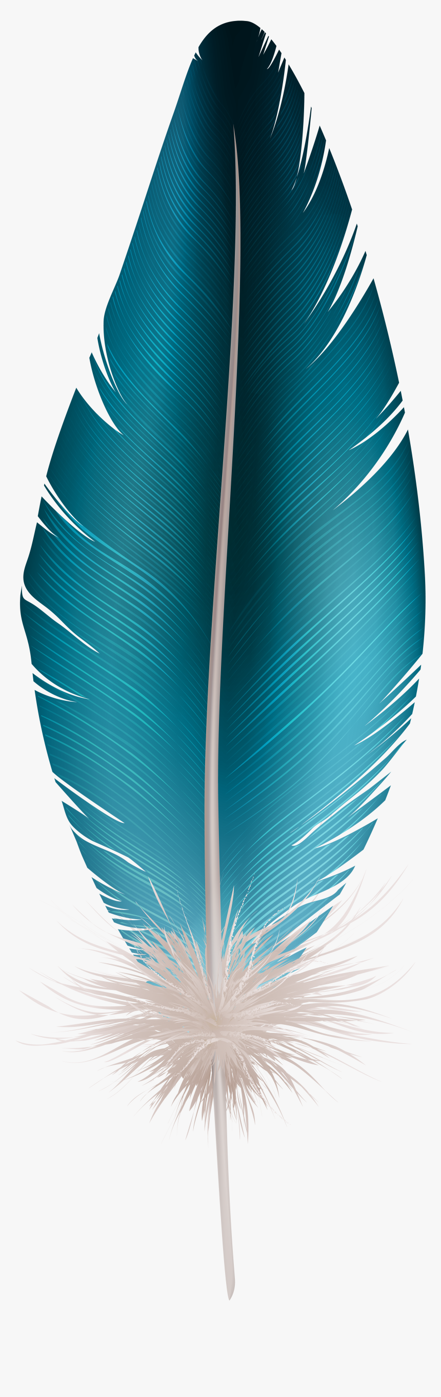 Feather Clip Art Blue - Transparent Background Feather Clipart, HD Png Download