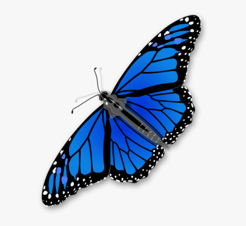 Large Monarch Butterfly 0 - Butterfly Clip Art, HD Png Download
