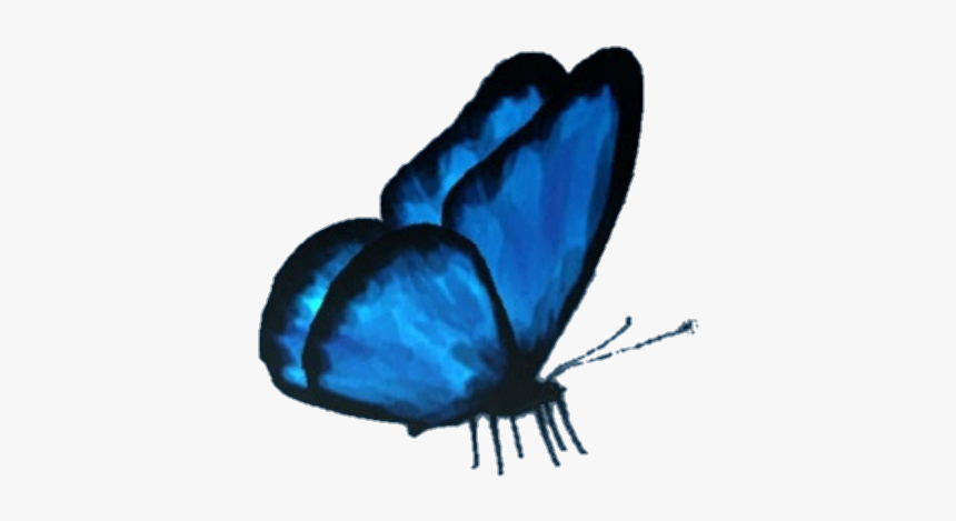#butterfly #butterflyeffect #lifeisstrange #max #cloe - Butterfly Picsart Png, Transparent Png