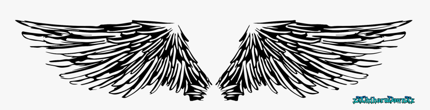 Angel Wings Line Art By Xxchiharudawnxx On Deviantart, HD Png Download