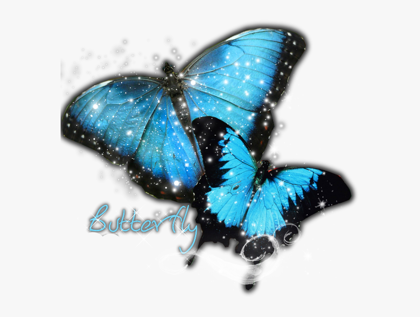 Good Silent Round Wall Clock Frameless Butterfly Stylish - Blue Butterfly, HD Png Download