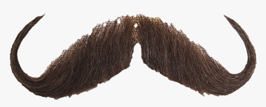#mustache - Horn, HD Png Download