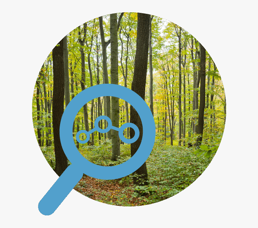 Circle, HD Png Download