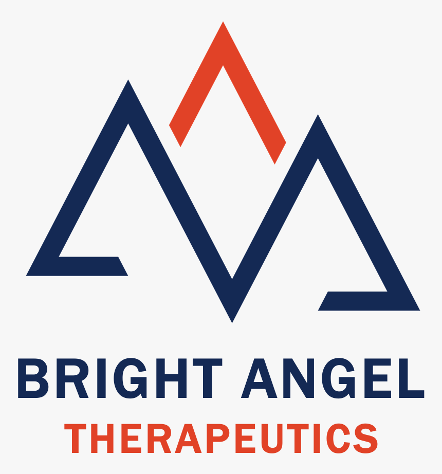 Bright Angel Logo March 25 2018 - Landestalsperrenverwaltung Sachsen, HD Png Download