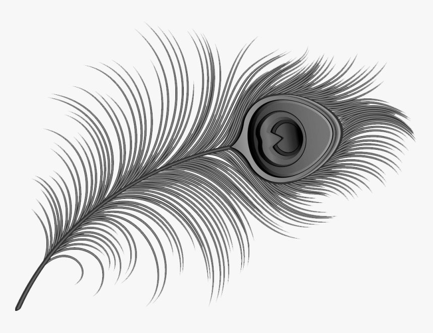 Close-up, HD Png Download