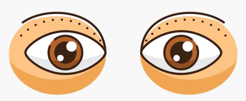 Dish, HD Png Download