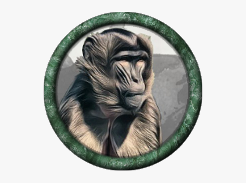 Baboon, HD Png Download