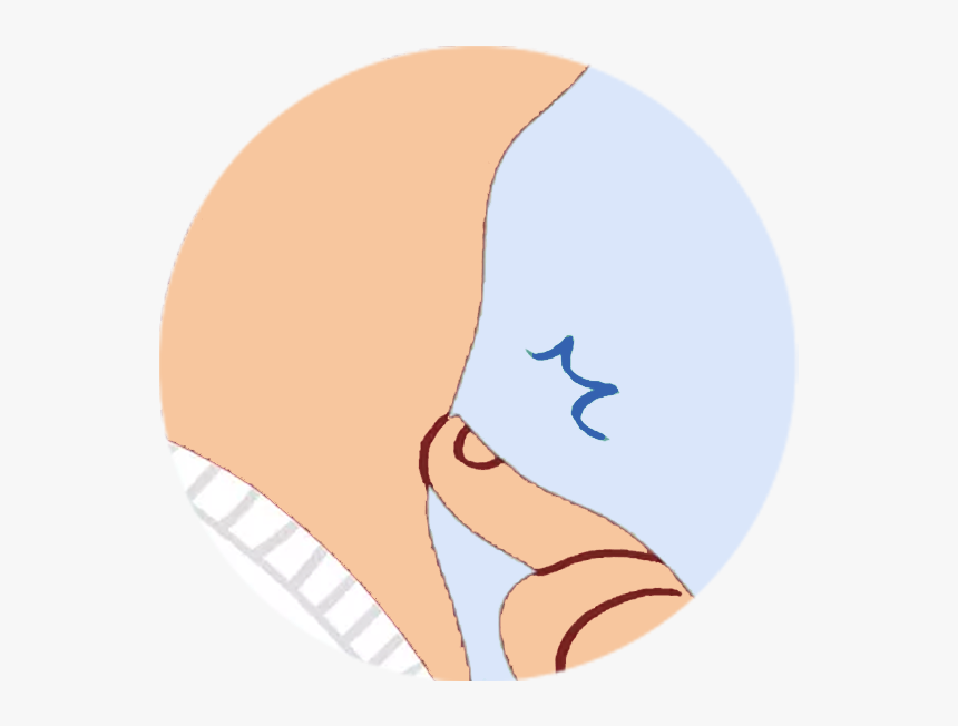 Circle, HD Png Download