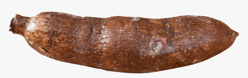 Cassava Yuca Root Png Image - Cassava Png, Transparent Png