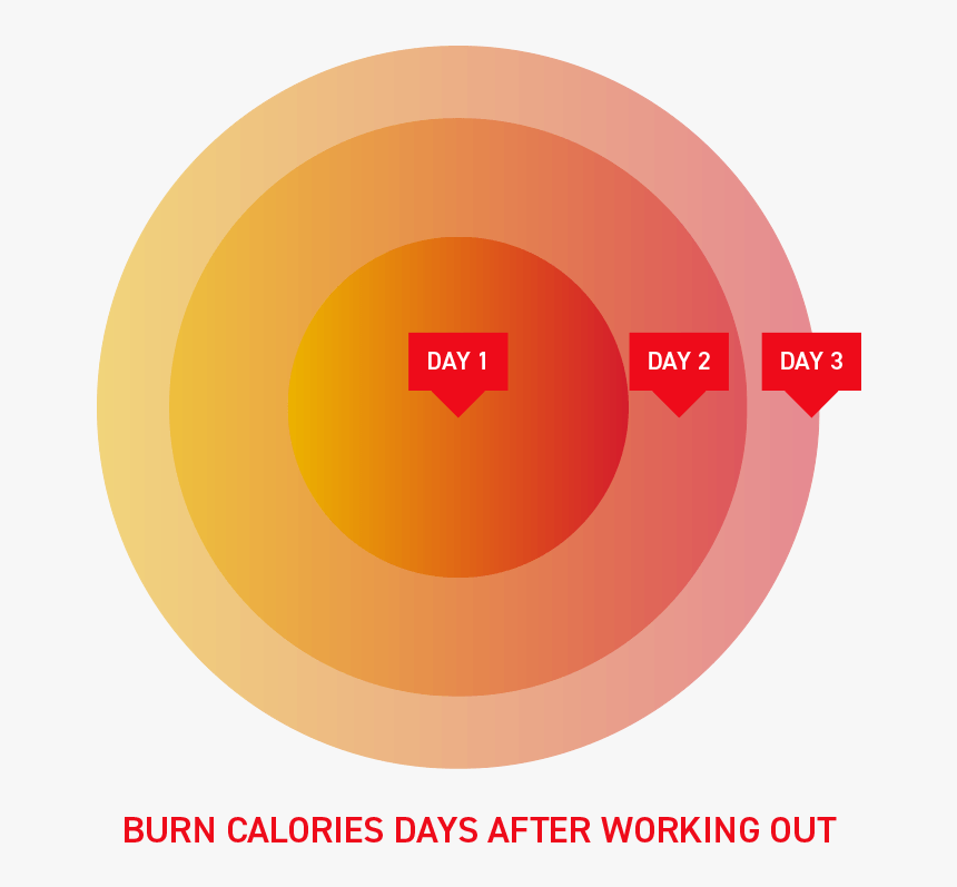 Chart-2 Optim2 - Circle, HD Png Download