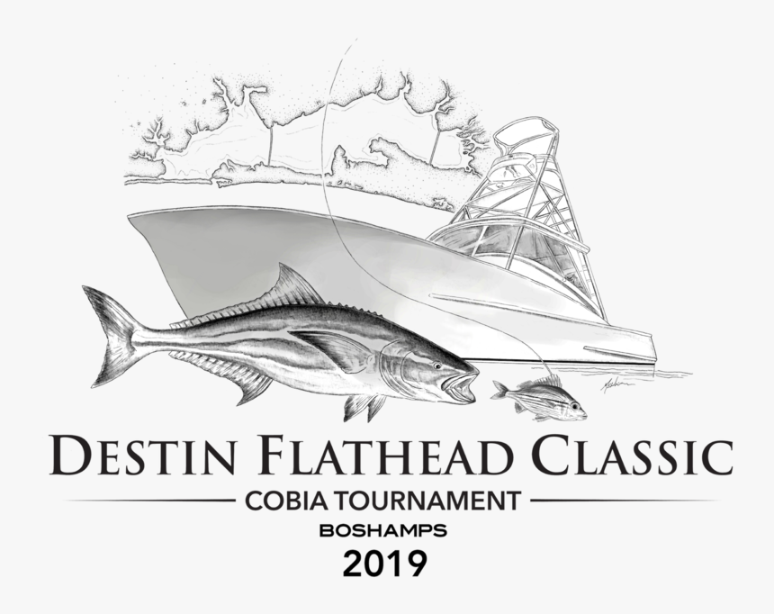 Destin Flathead Classic - Atlantic Blue Marlin, HD Png Download