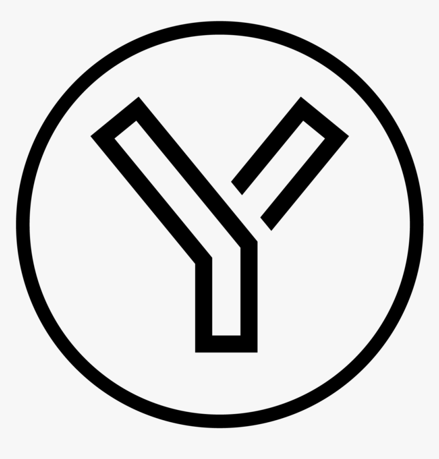 You Are Your Reality - Circle, HD Png Download