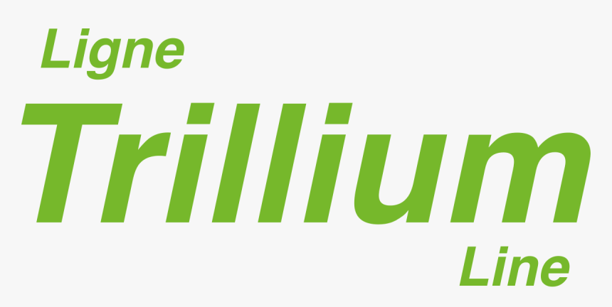 Green Check Mark Trillium Line - Graphic Design, HD Png Download