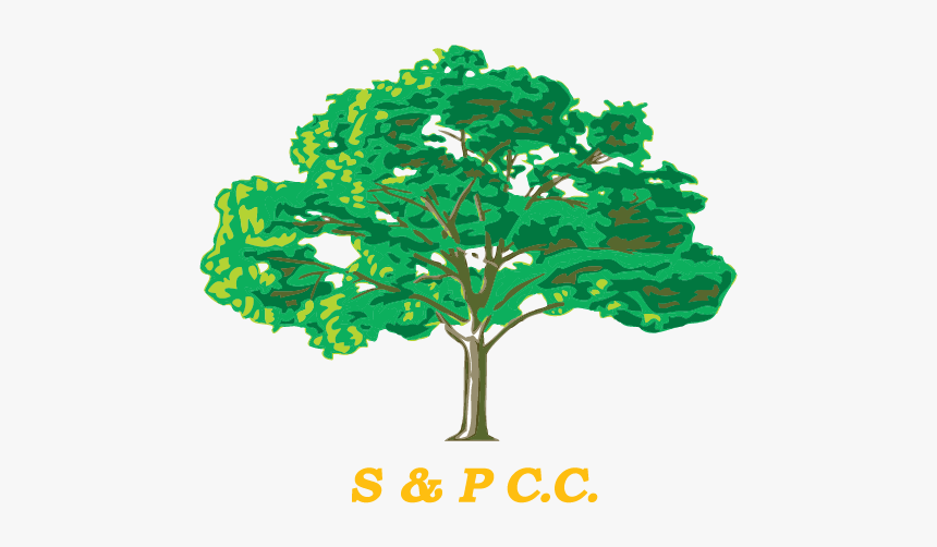 Draw You Family Tree, HD Png Download