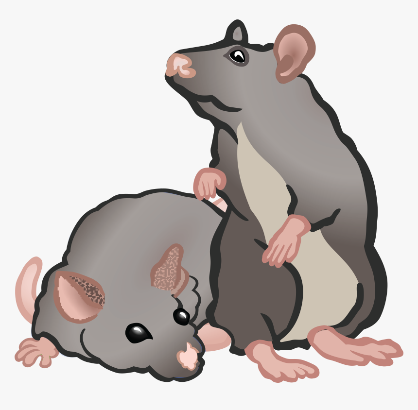 Thumb Image - Rat And Mouse Clipart, HD Png Download