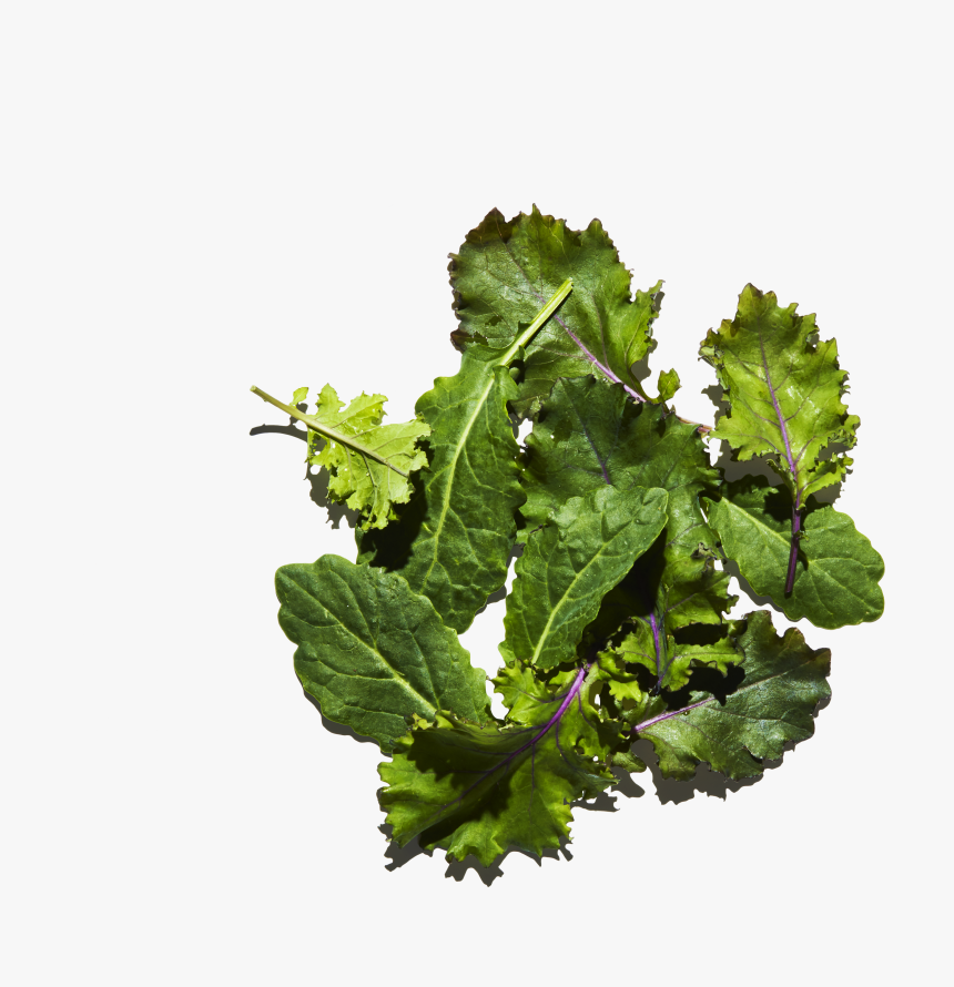 Single Green Chilli Png, Transparent Png