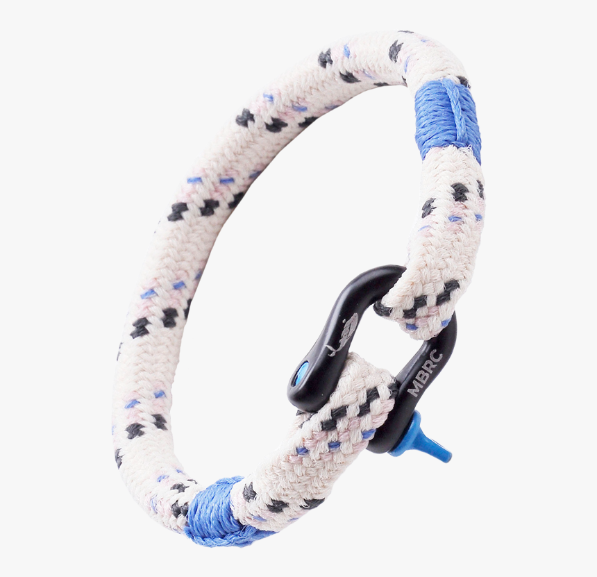 Dolphin Ocean 
 Data Imageurl //cdn - Common Kingsnake, HD Png Download