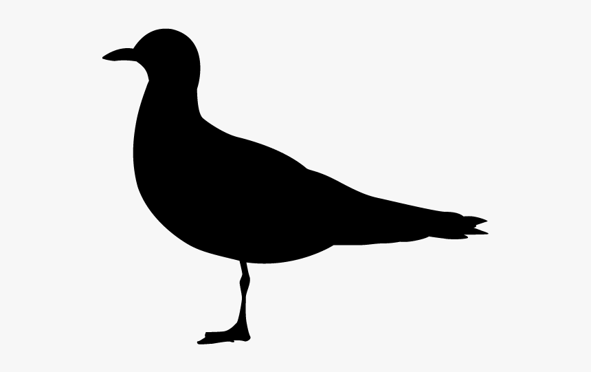 Vögel Piktogramm Png, Transparent Png