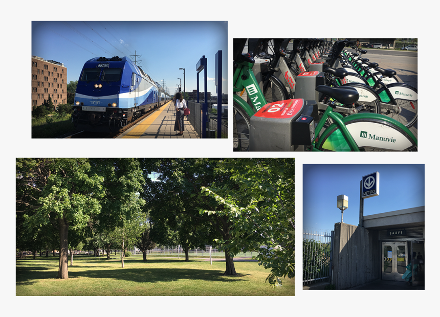 Train Metro Velo Aldea Ahuntsic - Tree, HD Png Download