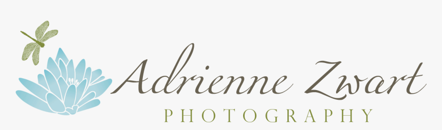 Calligraphy, HD Png Download