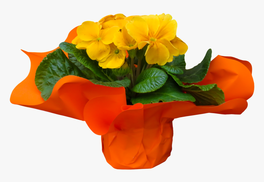 Eschscholzia Californica, HD Png Download