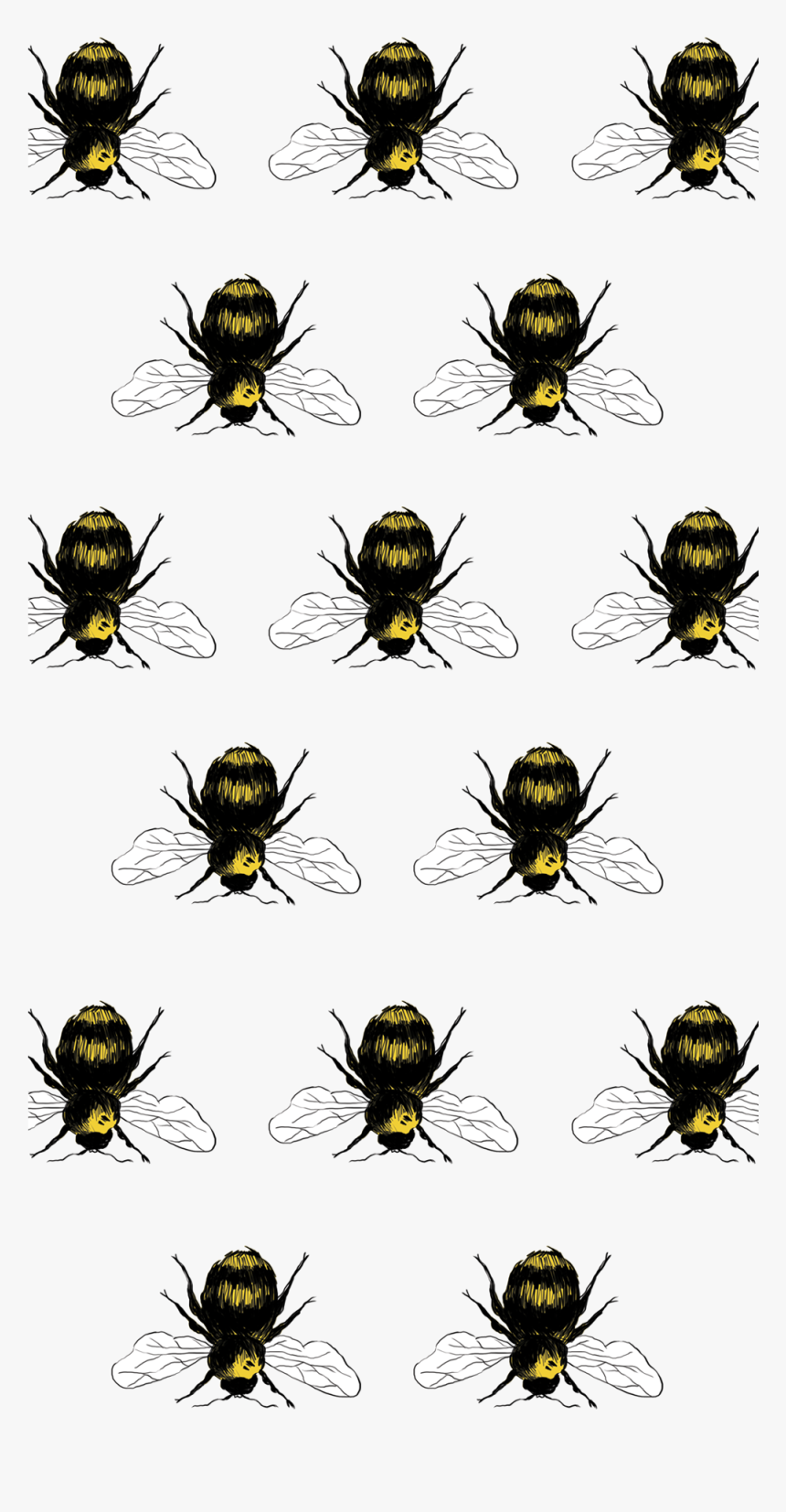 Yellow Garden Spider, HD Png Download