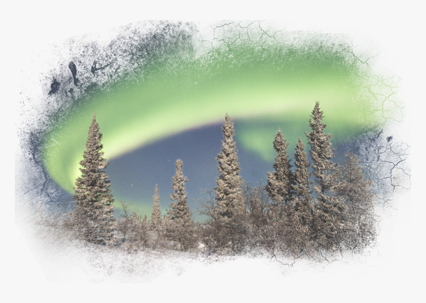 #auroraborealis #forest #auroraboreal #landscape #sky - Paisajes Nevados Con Auroras Boreales, HD Png Download