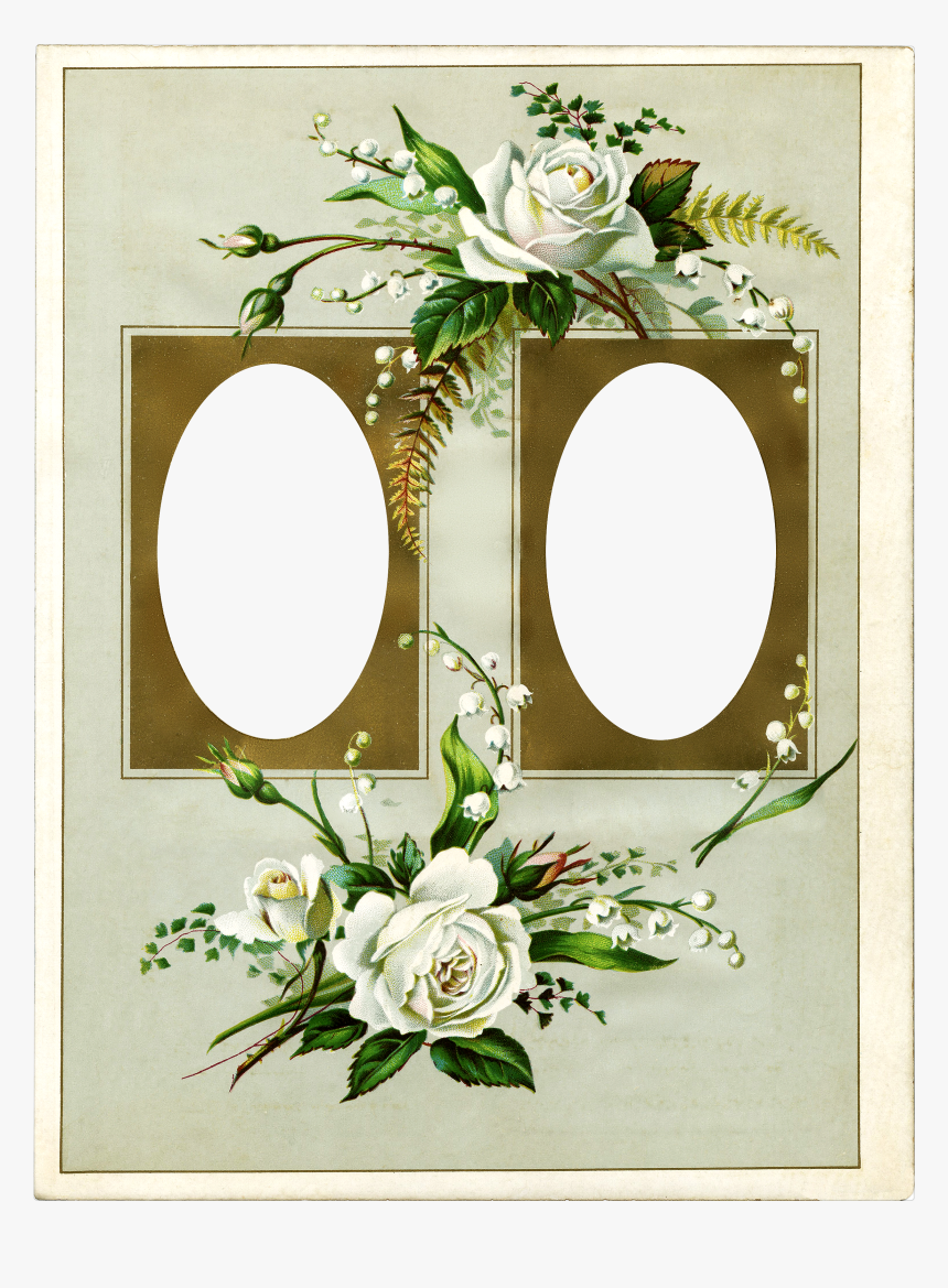 Gamla Flower Png, Transparent Png