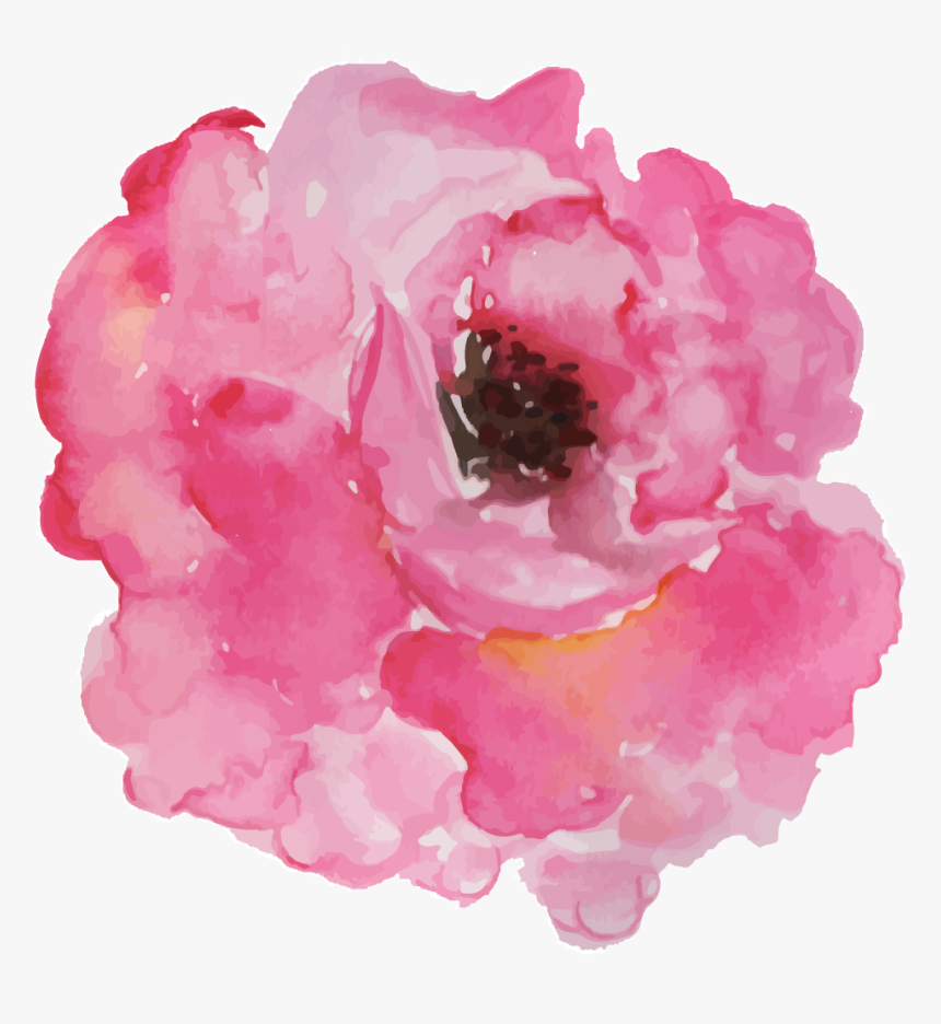 Peony, HD Png Download