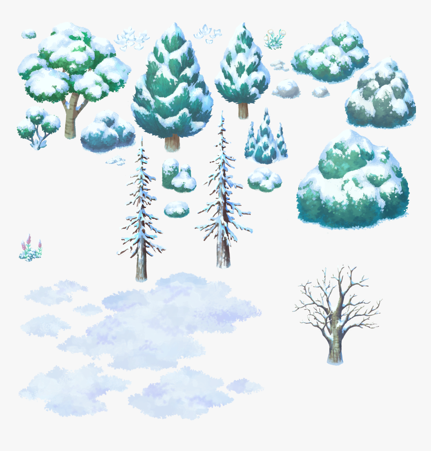 White Pine, HD Png Download