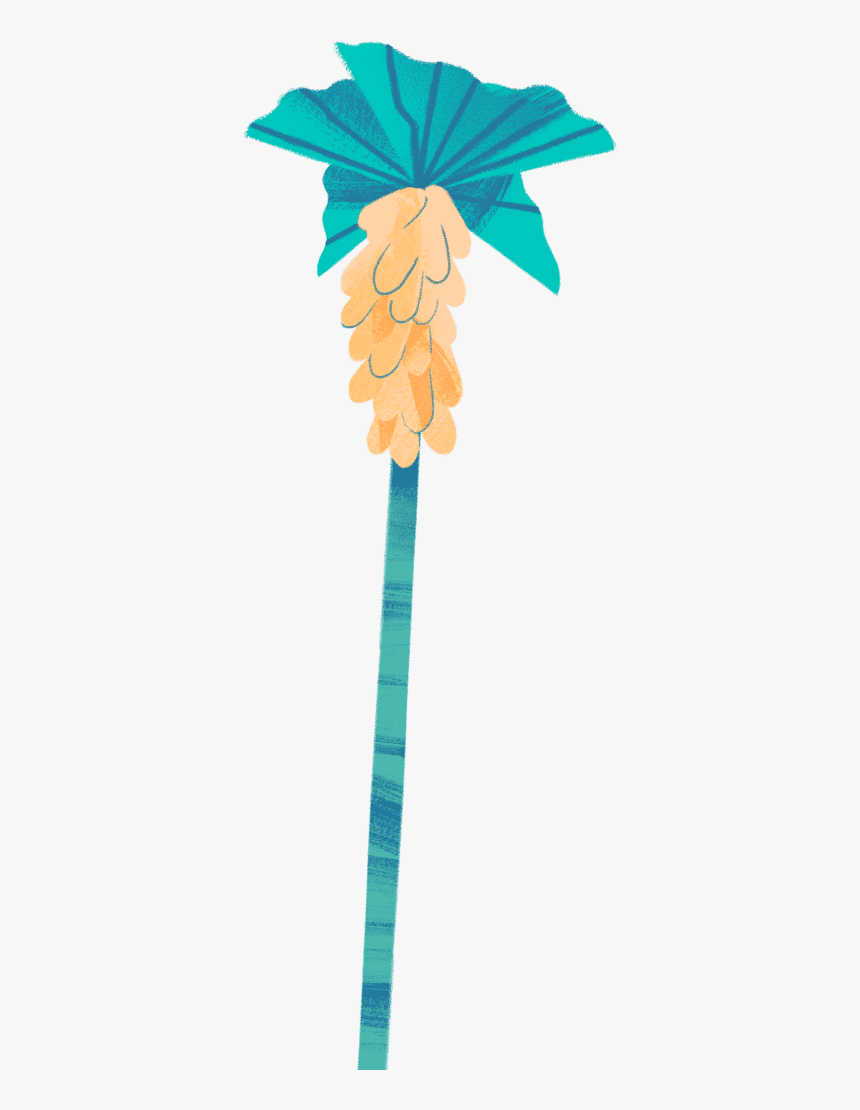 Palm Tree, HD Png Download