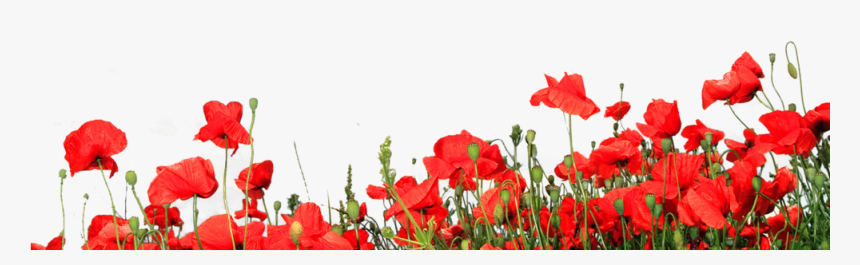 Recompose Is A Public Benefit Corporation, HD Png Download