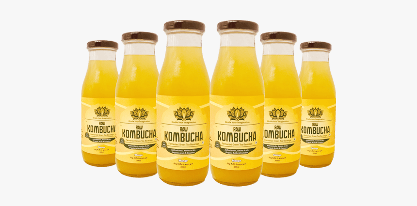 Kombucha Fruity Fresh Tea - Orange Drink, HD Png Download