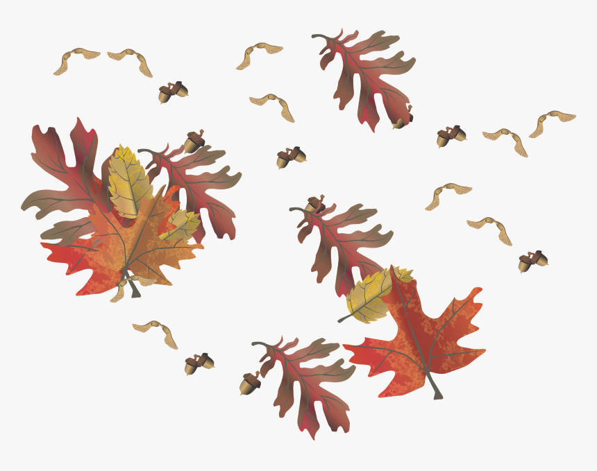 Transparent Leaf Clip Art - Maple Leaf, HD Png Download