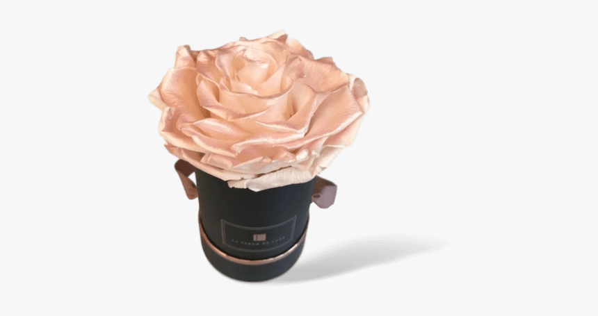 Peony, HD Png Download