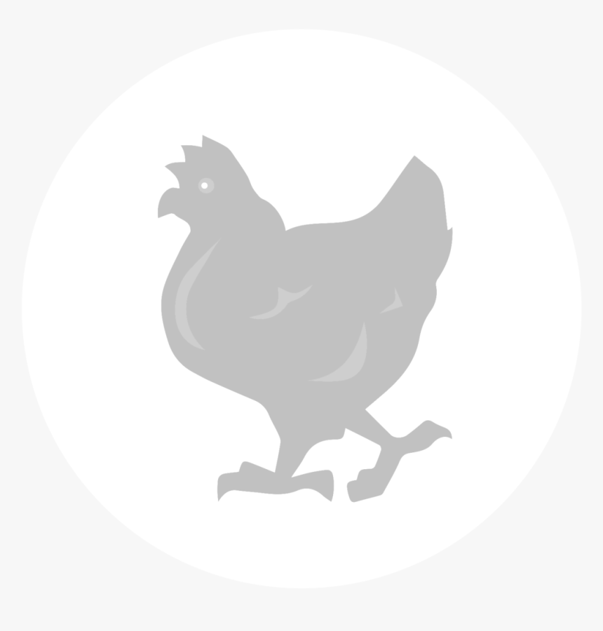 Rooster Chicken As Food Fauna Silhouette Black - Rooster, HD Png Download