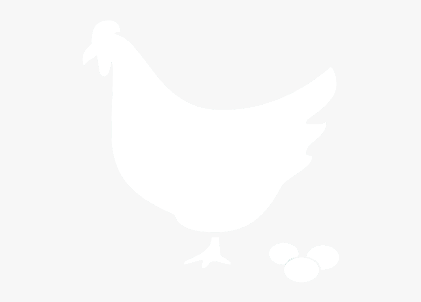 Rooster, HD Png Download