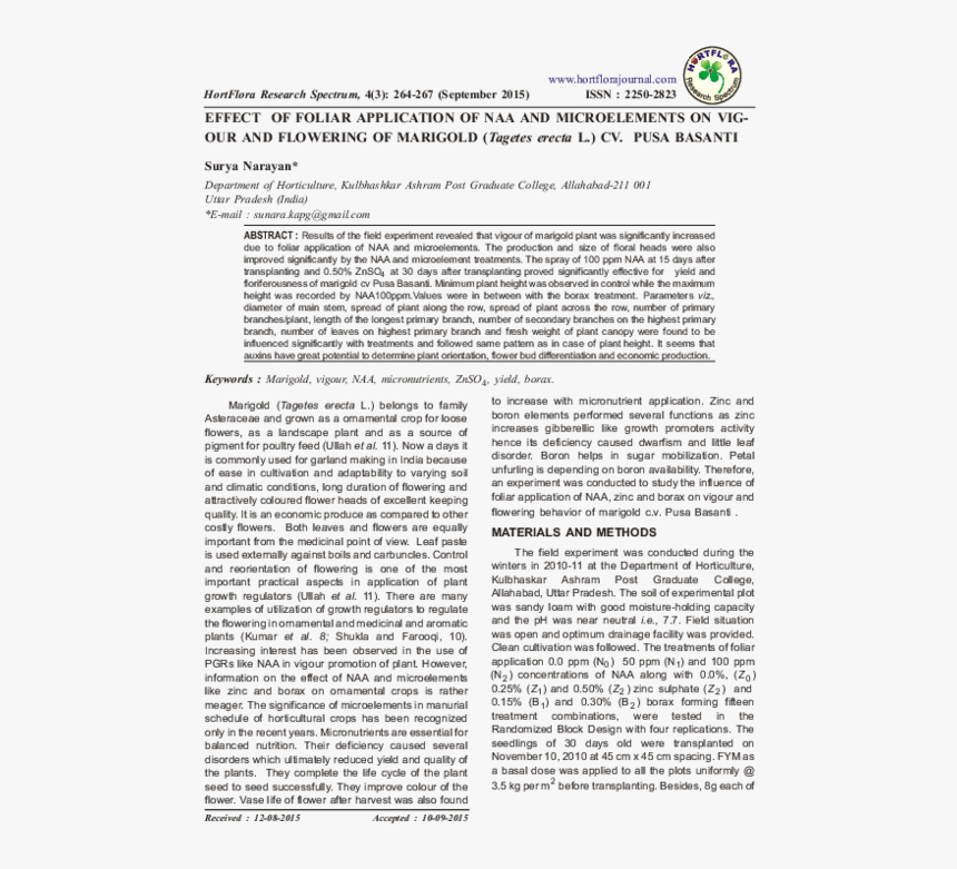 Document, HD Png Download