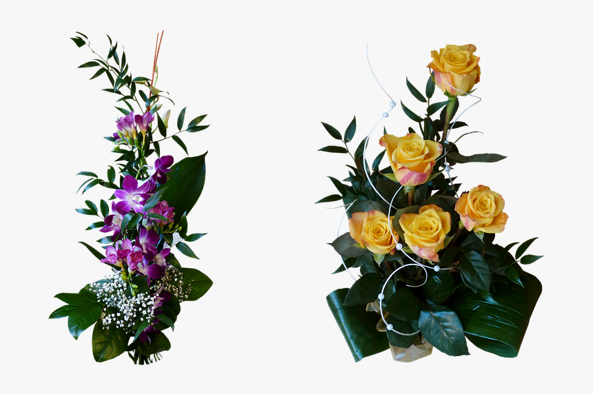 Floribunda, HD Png Download